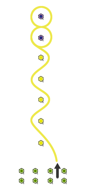 Slalom and figure of eight